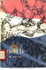 线粒体（1988 PDF版）