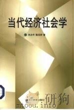 当代经济社会学（1998 PDF版）