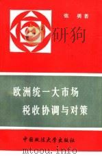 欧洲统一大市场税收协调与对策（1995 PDF版）