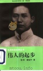 伟人的起步 1994 PDF电子版封面 7213009885 张华,黄俊平著