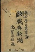 欧战与新潮 1923 PDF电子版封面 王金绂编