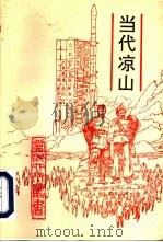 当代凉山（1992 PDF版）