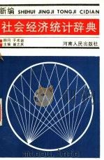 新编社会经济统计辞典 对统计指标作理论经济学分析的一个尝试 1987 PDF电子版封面 4105·53 崔之庆主编