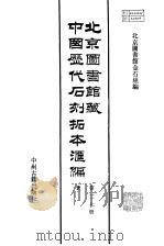 北京图书馆藏中国历代石刻拓本汇编 隋唐五代十国 19 第27册 1989 PDF电子版封面 7534801796 北京图书馆金石组编
