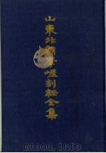 山东北朝摩崖刻经全集（1992 PDF版）