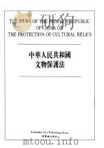 中华人民共和国行业标准市政工程勘察规范   1994  PDF电子版封面  7800471985  北京市勘察院主编 