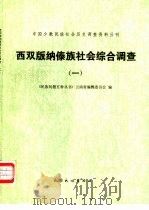 西双版纳傣族社会综合调查（1983 PDF版）