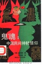 鬼魂  中国民间神秘信仰（1991 PDF版）