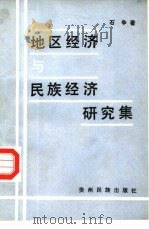 地区经济与民族经济研究集 1987 PDF电子版封面 7541200026 石争著