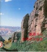 新疆天山生殖崇拜岩画（ PDF版）