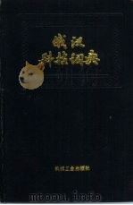俄汉科技词典（1988 PDF版）