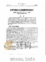 大骨节病患儿红细胞膜骨架的变化（ PDF版）