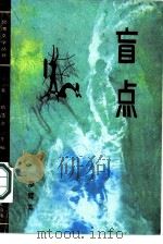 盲点（1987 PDF版）