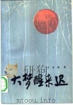 大梦醒来迟（1987 PDF版）