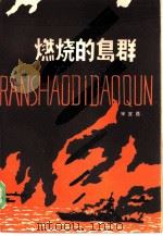 燃烧的岛群（1985 PDF版）