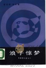 浪子惊梦 1988 PDF电子版封面 750390058X 张长怀,孙玉春著