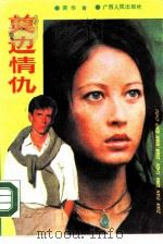 奠边情仇（1990 PDF版）
