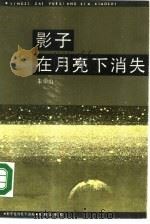 影子在月亮下消失（1984 PDF版）