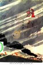 狂飙（1977 PDF版）