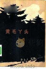黄毛丫头（1981 PDF版）