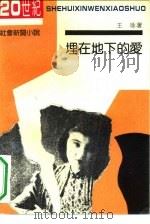 埋在地下的爱  20世纪社会新闻小说（1992 PDF版）