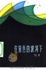 在黛色的波涛下（1982 PDF版）