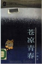苍凉青春（1988 PDF版）