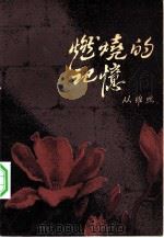 燃烧的记忆 1983 PDF电子版封面 10067·270 从维熙著