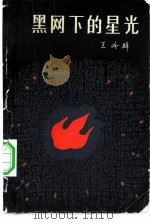 黑网下的星光（1983 PDF版）