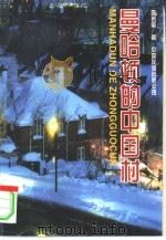 曼哈顿的中国村（1996 PDF版）