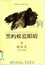 黑蚂蚁蓝眼睛（1997 PDF版）