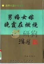 男婚女嫁  又名，山水情  晚霞在燃烧（1995 PDF版）