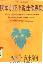 陕军东征小说佳作纵览（1994 PDF版）