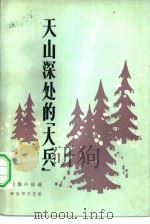 天山深处的“大兵”  短篇小说选（1982 PDF版）