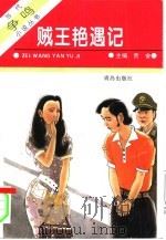 贼王艳遇记（1995 PDF版）