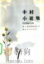 丰村小说集（1982 PDF版）