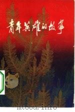 青年英雄的故事（1964 PDF版）