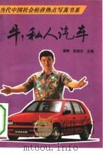 牛!私人汽车（1993 PDF版）