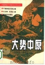 大势中原 1993 PDF电子版封面 7506522985 王玉彬,王苏红著