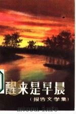 醒来是早晨  报告文学集（1986 PDF版）