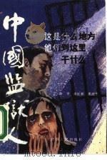 中国监狱人（1989 PDF版）