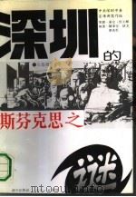 深圳的斯芬克思之谜（1991 PDF版）