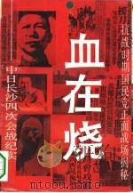血在烧  中日长沙四次会战纪实（1993 PDF版）