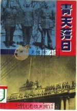 青天落日  长篇历史纪实（1993 PDF版）