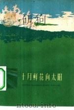 十月鲜花向太阳  十月人民公社史（1960 PDF版）