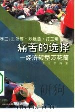 痛苦的选择  经济转型万花筒  土饭碗·炒鱿鱼·打工潮（1994 PDF版）