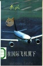 在国际飞机翼下（1990 PDF版）