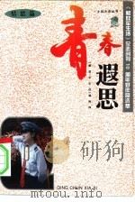 青春遐思  情思篇（1995 PDF版）