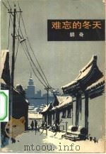 难忘的冬天（1980 PDF版）