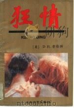 狂情（1994 PDF版）